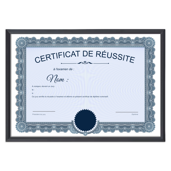 Mon diplome vierge : faux diplome personnalisé ancien bleu - Bien-stocker