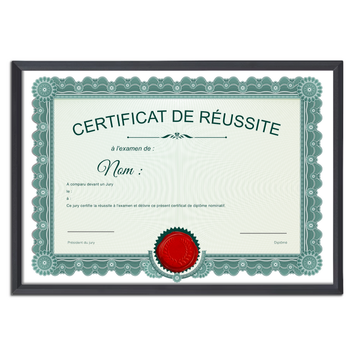 Mon diplome vierge : faux diplome personnalisé ancien vert - Bien-stocker