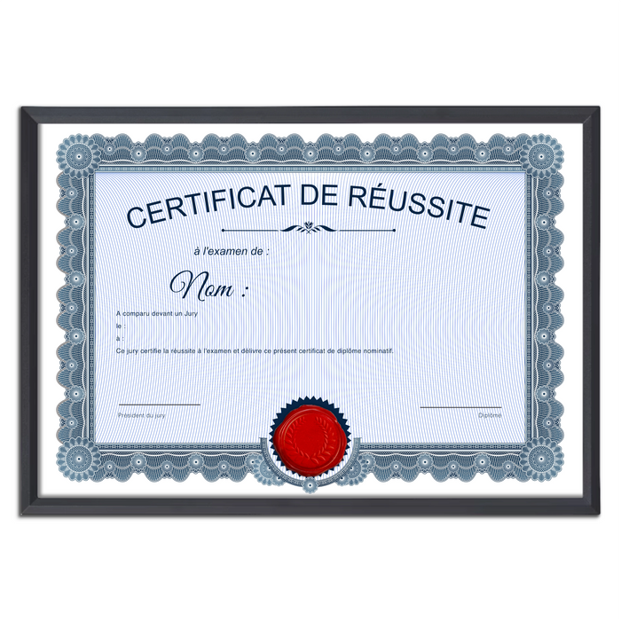 Mon diplome vierge : faux diplome personnalisé ancien bleu - Bien-stocker