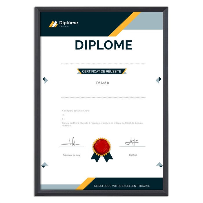 Mon diplome vierge : faux diplome personnalisé DIPLOME NIVEAU 1 - Bien-stocker