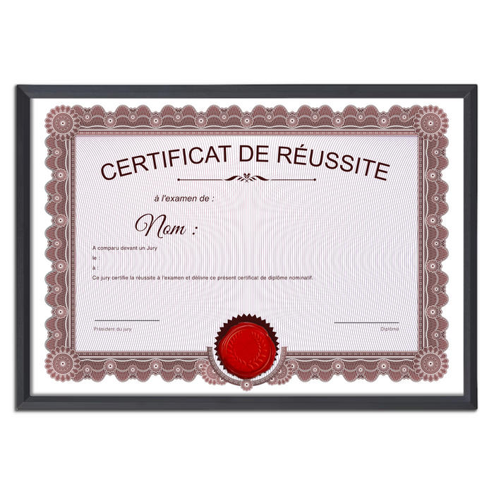 Mon diplome vierge : faux diplome personnalisé ancien rouge - Bien-stocker