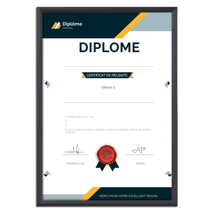 Mon diplome vierge : faux diplome personnalisé DIPLOME NIVEAU 1 - Bien-stocker