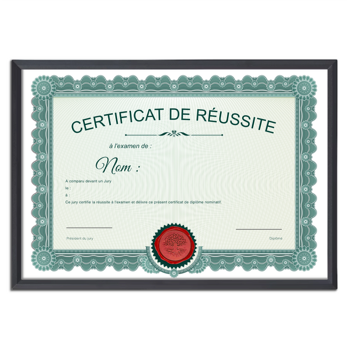 Mon diplome vierge : faux diplome personnalisé ancien vert - Bien-stocker