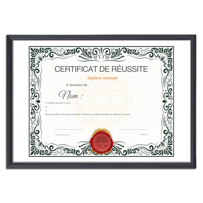 Mon diplome vierge : faux diplome personnalisé, faux diplom art - Bien-stocker