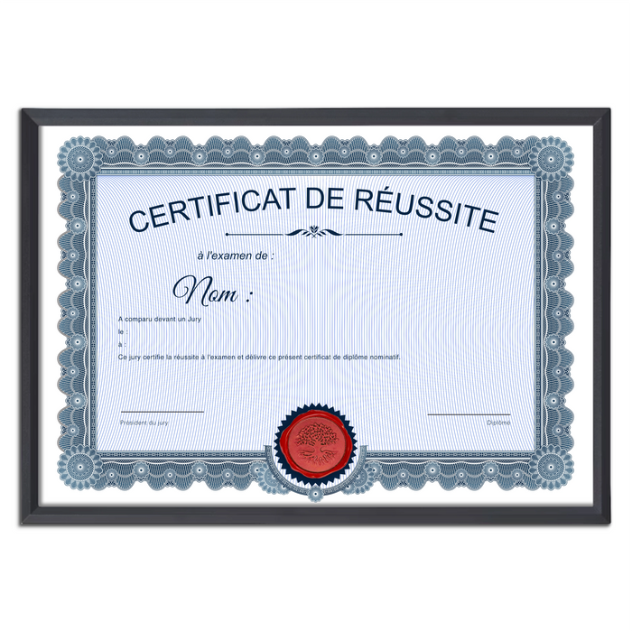 Mon diplome vierge : faux diplome personnalisé ancien bleu - Bien-stocker