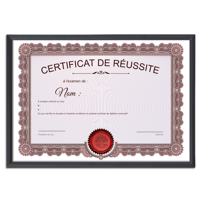 Mon diplome vierge : faux diplome personnalisé ancien rouge - Bien-stocker