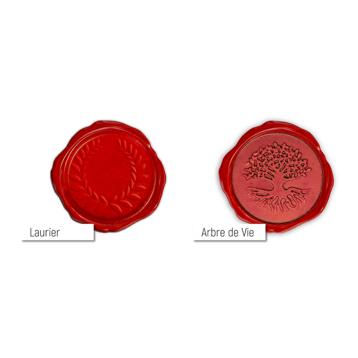 Mon diplome vierge : faux diplome personnalisé ancien rouge - Bien-stocker