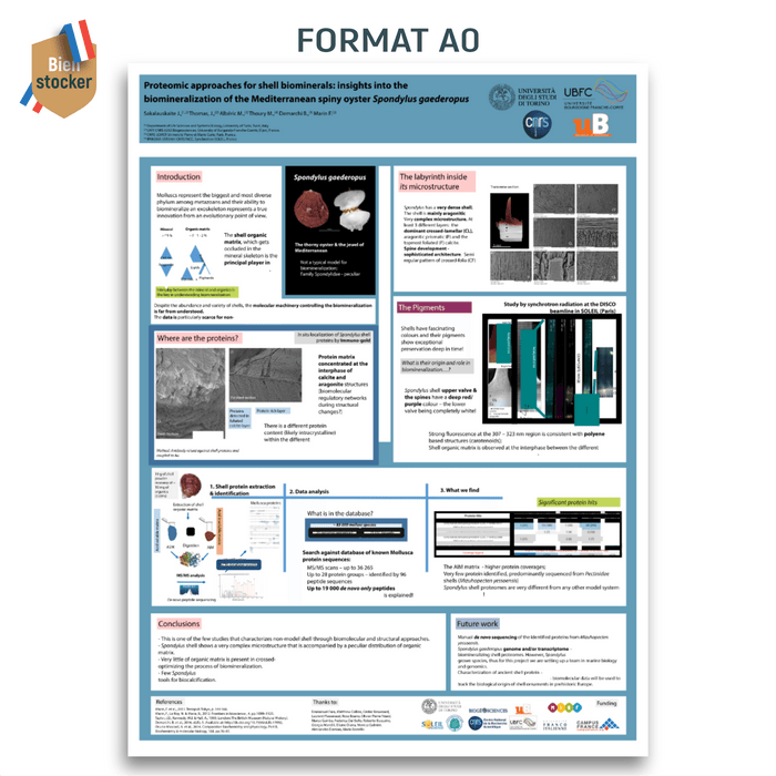 Poster scientifique A0 - Bien-stocker