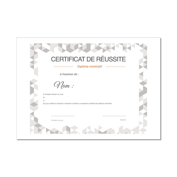 Mon diplome vierge : faux diplome personnalisé DIPLOME NIVEAU 5