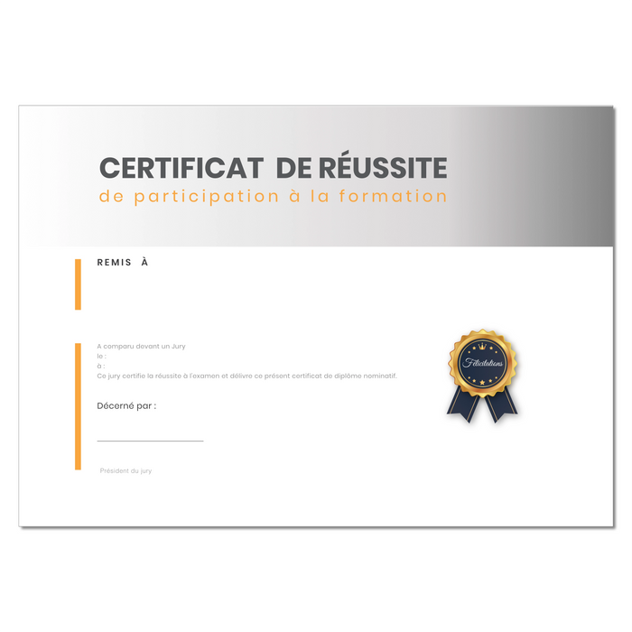 Mon diplome vierge : faux diplome personnalisé DIPLOME NIVEAU 4 - Bien-stocker